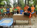 12_DSCN1396