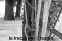 Tesoro_1