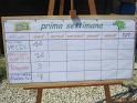 003-_Grest_22-6-2011