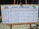 002_Grest_22-6-2011