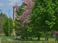 005_Campanile_1024-800