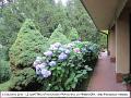 010_Primavera_13-6-2011-800