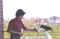 048_Sete-2-800
