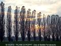 074_Filare-800