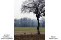 091_Caprioli-2-800
