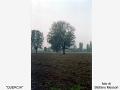 119_Stefano-800